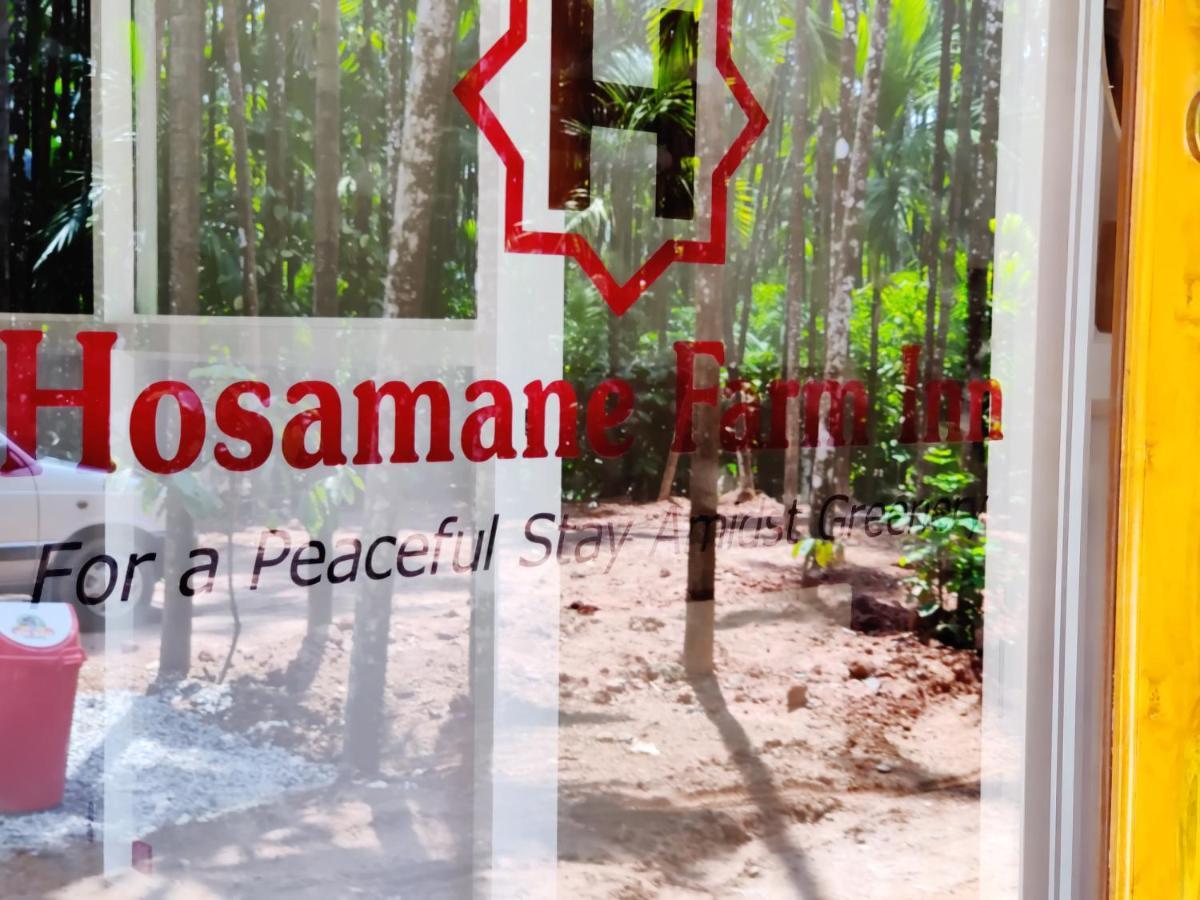 Hosamane Farm Inn Sringeri Екстер'єр фото