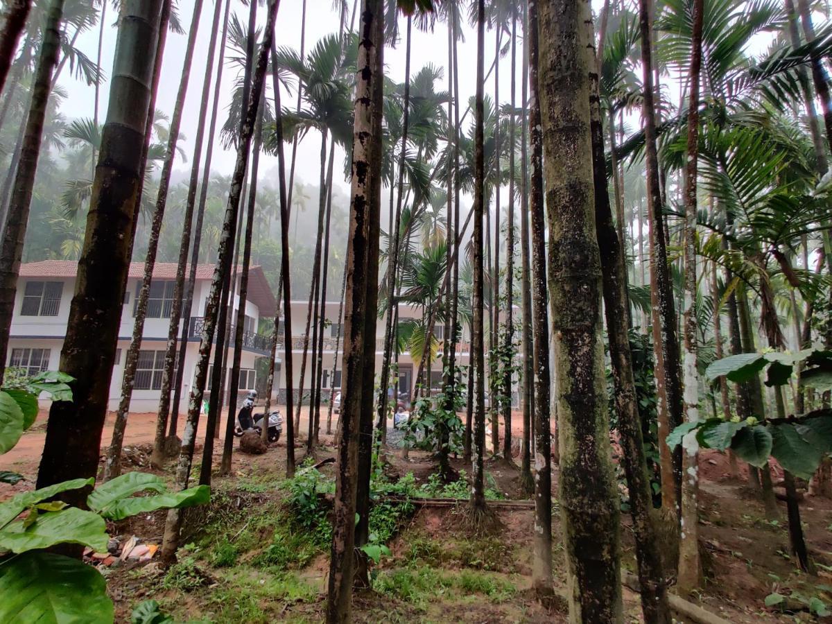 Hosamane Farm Inn Sringeri Екстер'єр фото