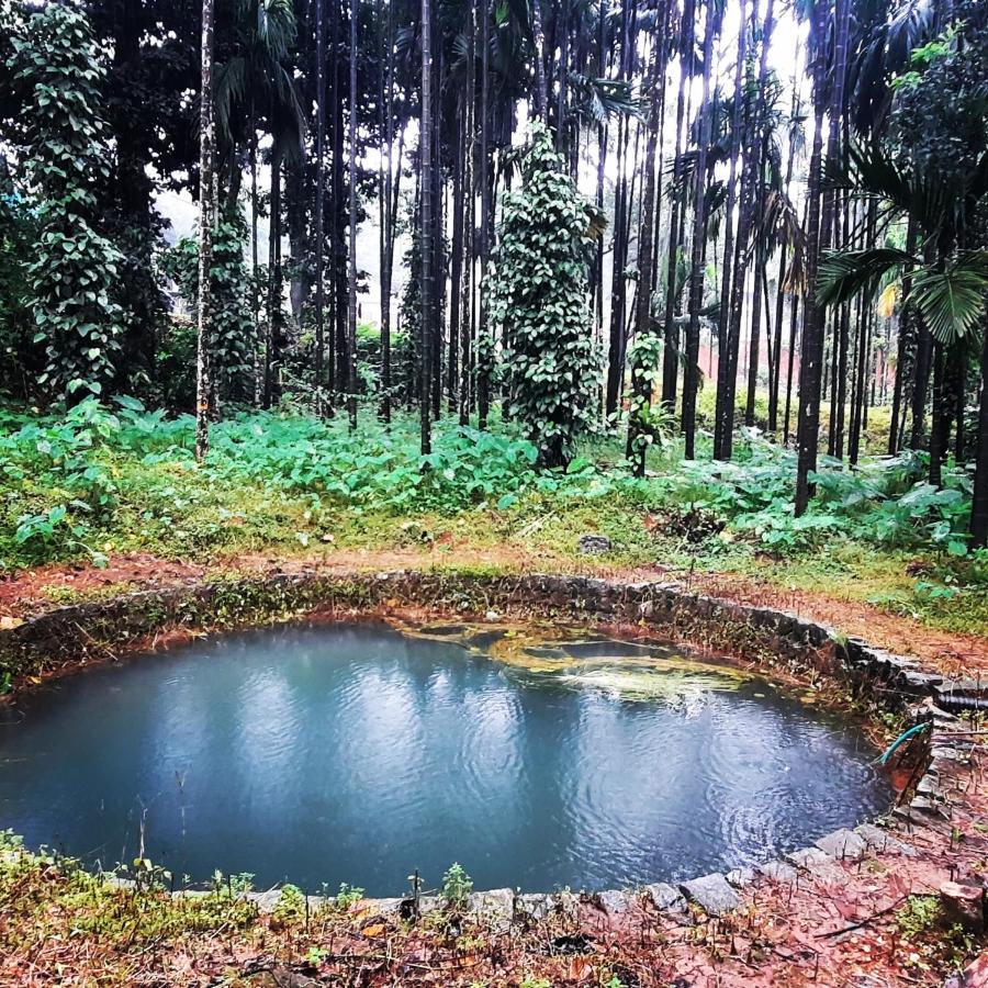 Hosamane Farm Inn Sringeri Екстер'єр фото